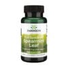 Зелена мента – Spearmint Swanson, 400 mg (60 капсули)